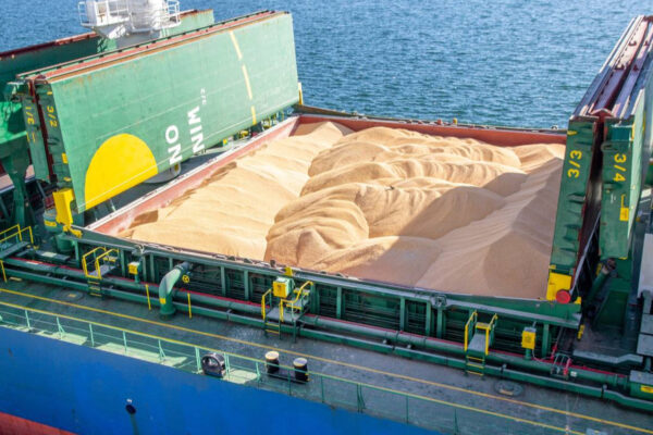 США витісняє українську кукурудзу зі світових ринків – ЗМІ