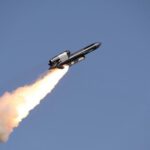 У мережі показали "приліт" Фламінго по Воткінську