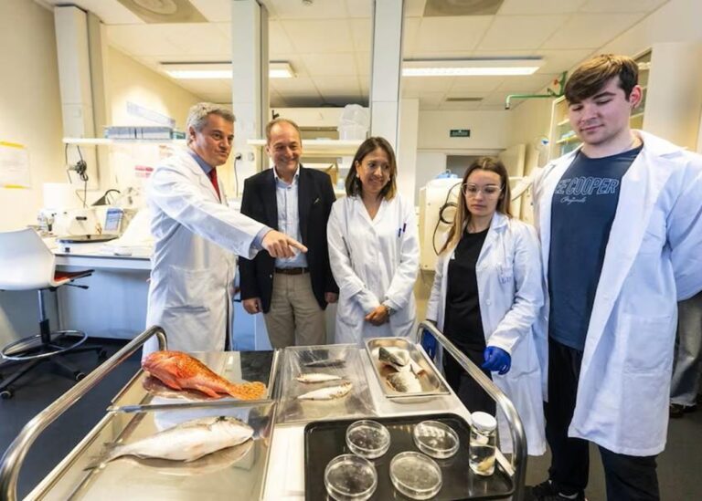 В Іспанії створили штучну рогівку з риб’ячої луски