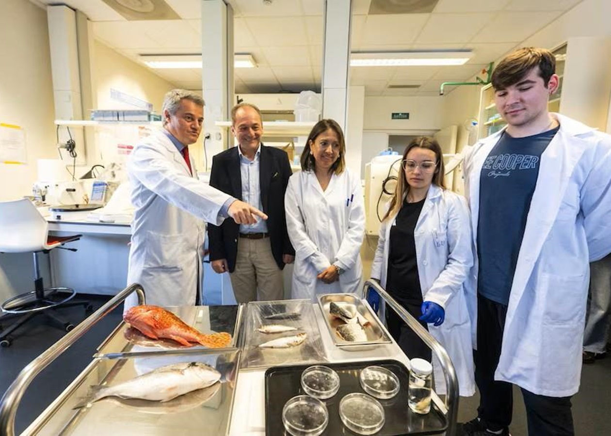 В Іспанії створили штучну рогівку з риб’ячої луски