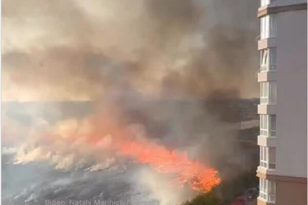 У Софіївській Борщагівці вирує масштабна пожежа