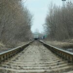 Суд покарав "Укрзалізницю", яка не змогла зберегти дерева на Полтавщині