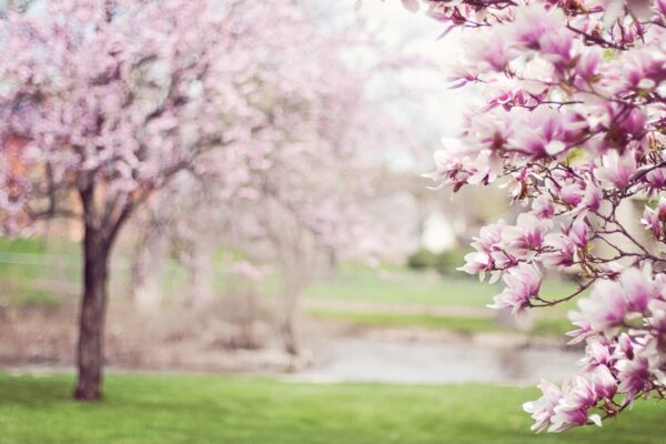 Свята 10 квітня 2026 року: події та іменини