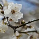 В Україні прогнозують подальше похолодання