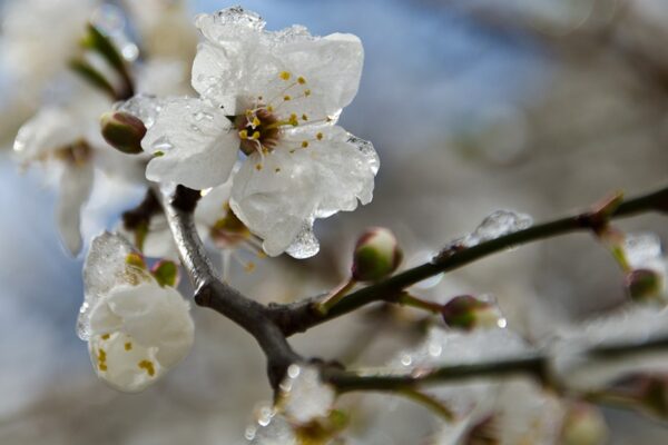 В Україні прогнозують подальше похолодання