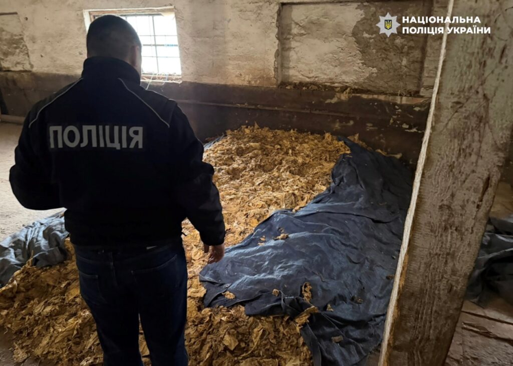 Викрито схему повного циклу виробництва нелегального тютюну на Закарпатті