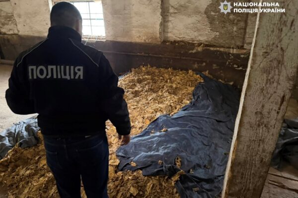 Викрито схему повного циклу виробництва нелегального тютюну на Закарпатті