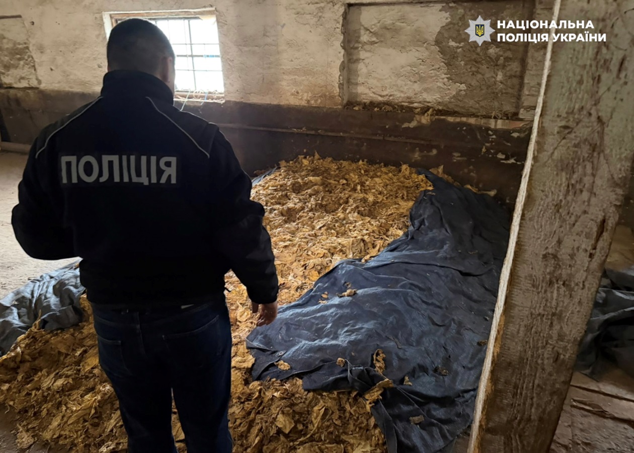Викрито схему повного циклу виробництва нелегального тютюну на Закарпатті