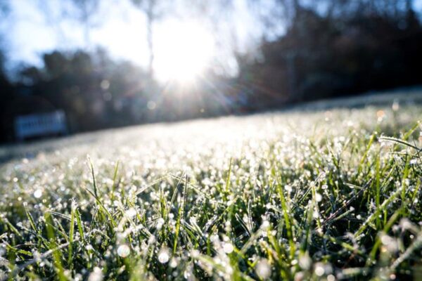 В Україну повертаються заморозки і мокрий сніг