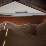 Ізраїль відреагував на протест України щодо зерна