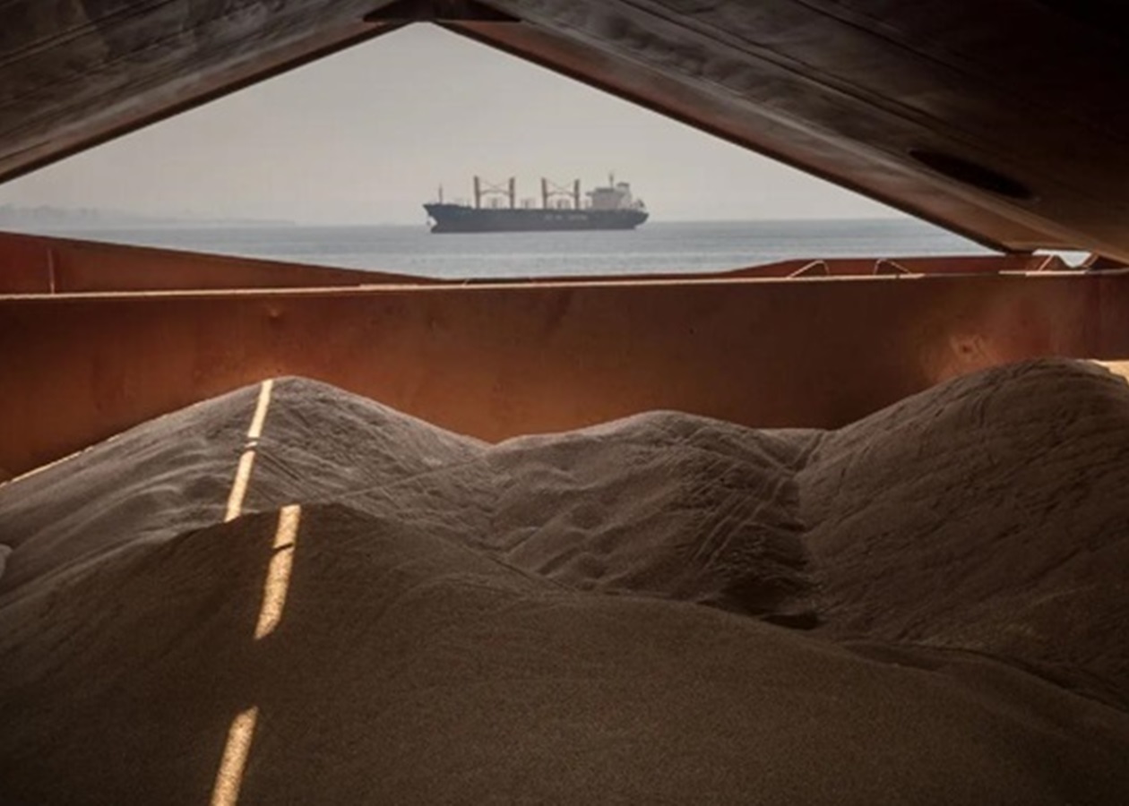 Ізраїль відреагував на протест України щодо зерна