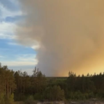 У Польщі під час гасіння лісової пожежі розбився літак