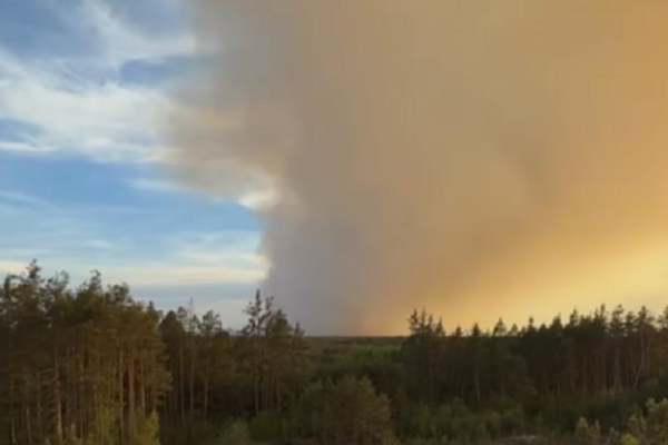 У Польщі під час гасіння лісової пожежі розбився літак
