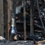 Росіяни мають заплатити за знищений в Україні склад алкоголю