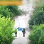 ЗСУ зачистили від окупантів Новохатське на Донбасі