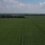 У шістьох росіян хочуть конфіскувати 7 гектарів землі в Україні
