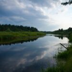 Рідкісні риби оселилися у водоймах Чорнобильської зони