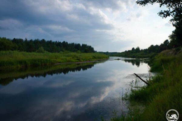 Рідкісні риби оселилися у водоймах Чорнобильської зони