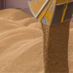 Аграрії зможуть отримати пільгові кредити за програмою 5-7-9%