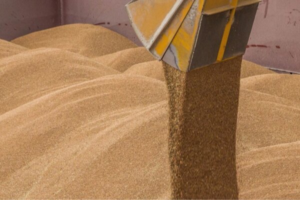 Аграрії зможуть отримати пільгові кредити за програмою 5-7-9%